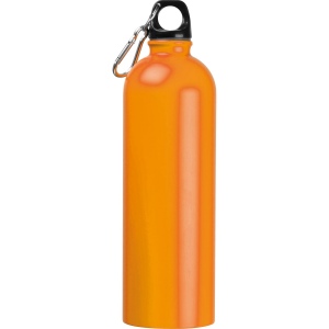 Gourde en acier inoxydable "Ostrov" 45