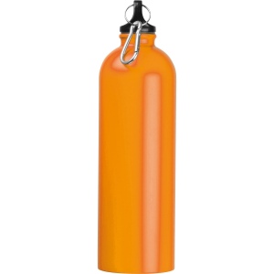 Gourde en acier inoxydable "Ostrov" 46