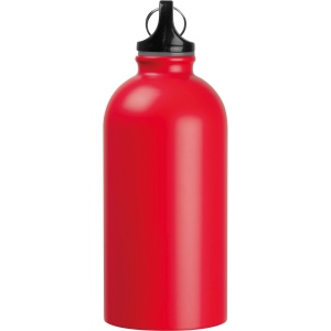 Bouteille en acier inoxydable "New York" 24