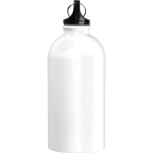 Bouteille en acier inoxydable "New York" 29