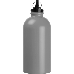 Bouteille en acier inoxydable "New York" 34