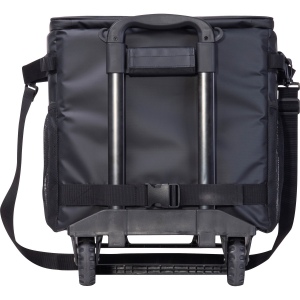 Chariot iso DETLEF 12