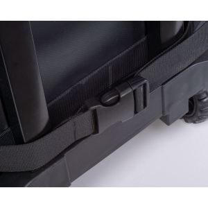 Chariot iso DETLEF 5