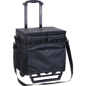 Chariot iso DETLEF 9