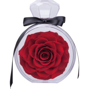Rose conservée MARCELLA 5
