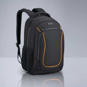 Ensemble dynamic : sac à dos business 15” et parapluie automatique 12