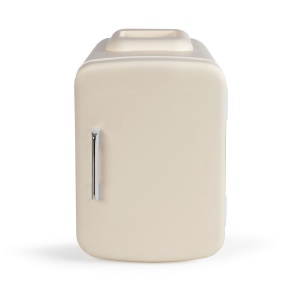 Mini réfrigérateur 2 en 1 2