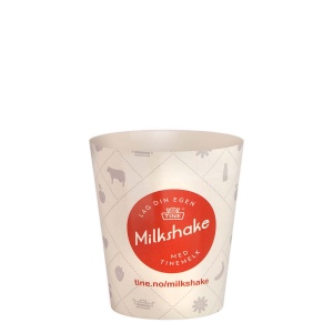 Gobelet Festival en plastique (190ml)