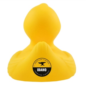 Canard de bain en caoutchouc grinçant * 5
