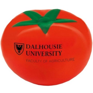 Tomate balle anti-stress