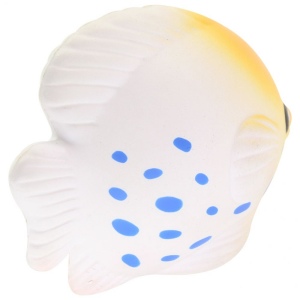 Poissons tropicaux anti-stress 8