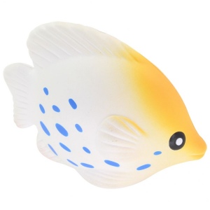 Poissons tropicaux anti-stress 9