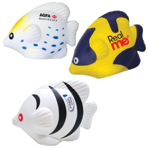 Poissons tropicaux anti-stress 5