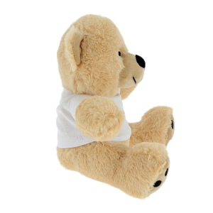 Ours peluche 20 cm (+Transfert DTF QF11) 4