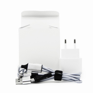 HAKO - KIT ESSENTIEL PRISE + CÂBLE BLANC