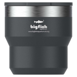 Stanley Stay Hot 295 ml tasse de camping isolée et empilable en acier inoxydable 5