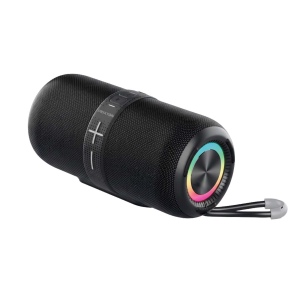 Enceinte Prixton Hit Box 30W 2
