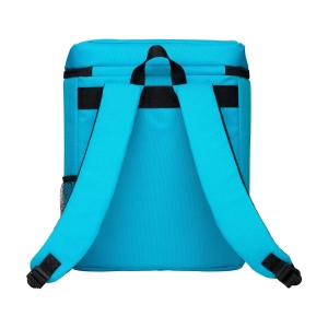 Sac à dos/sac isotherme en polyester RPET 600D tissé et recyclé, avec un compartiment isotherme spacieux et une doublure isolante en PEVA 16