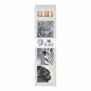 ETUI 6 CR  ECO 17,6 VIDE (+Copie laser CL11) 3