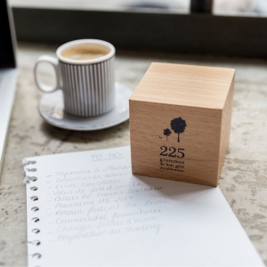 Cube en bois massif 2