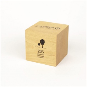 Cube en bois massif