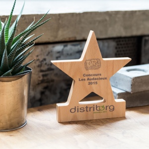 Trophée en bois étoile imprimé 3