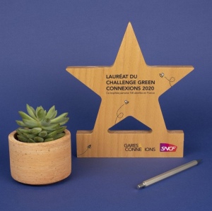 Trophée en bois étoile imprimé 4