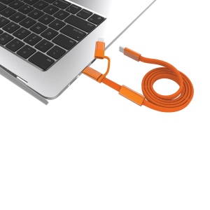Câble de recharge rapide 60W 2-en-1 Arc RCS 24