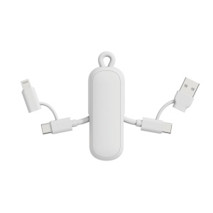 Câble 100W porte-clés 4-en-1 Urban Vitamin Dublin 15