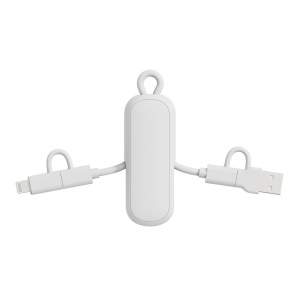Câble 100W porte-clés 4-en-1 Urban Vitamin Dublin 18