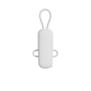 Câble 100W porte-clés 4-en-1 Urban Vitamin Dublin 19