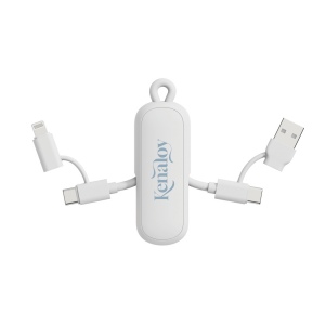 Câble 100W porte-clés 4-en-1 Urban Vitamin Dublin 23