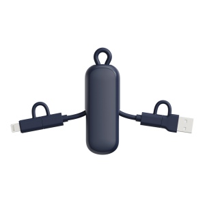 Câble 100W porte-clés 4-en-1 Urban Vitamin Dublin 28