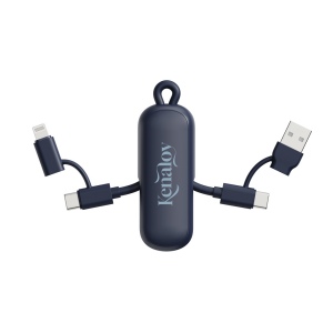 Câble 100W porte-clés 4-en-1 Urban Vitamin Dublin 33