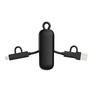 Câble 100W porte-clés 4-en-1 Urban Vitamin Dublin 8