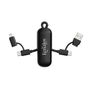Câble 100W porte-clés 4-en-1 Urban Vitamin Dublin 13