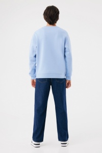 Sweater à col rond en coton recyclé IQONIQ Torla 157
