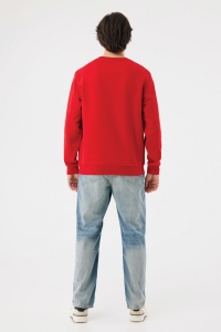 Sweater à col rond en coton recyclé IQONIQ Torla 201