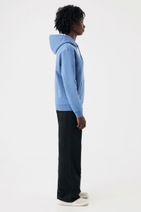 Sweat à capuche en coton recyclé IQONIQ Joshua 272
