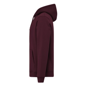Sweat à capuche en coton recyclé IQONIQ Joshua 302