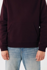 Sweat à capuche en coton recyclé IQONIQ Joshua 315
