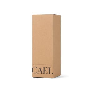 VINGA Bouteille Isotherme 600ml Cael en acier RCS 17