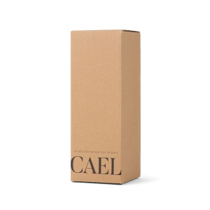 VINGA Bouteille Isotherme 600ml Cael en acier RCS 29