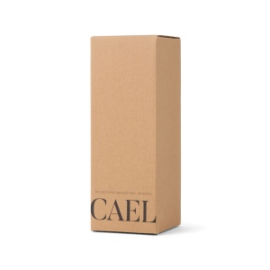VINGA Bouteille Isotherme 600ml Cael en acier RCS 41