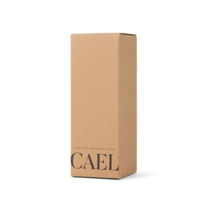 VINGA Bouteille Isotherme 600ml Cael en acier RCS 52