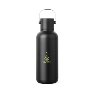 VINGA Bouteille Isotherme 600ml Cael en acier RCS 12