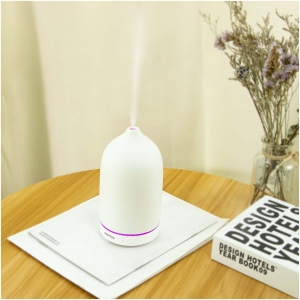 Humidificateur Prixton Zen 6
