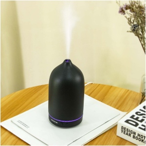 Humidificateur Prixton Zen 7