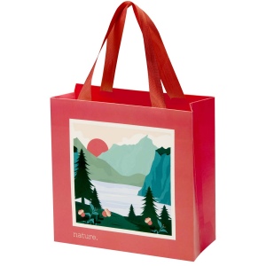 Sac en papier Smartfold 210 g/m² avec anses en ruban et pelliculage brillant - 24 x 10 x 24 cm 3