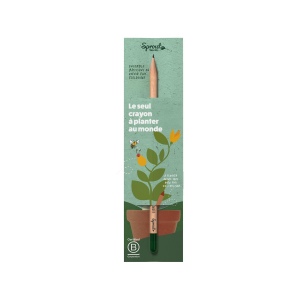 Sproutworld Sharpened Pencil & Header Card crayon taillé 31